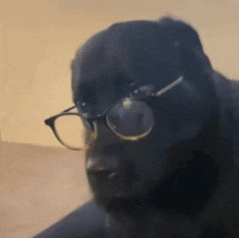 IMG_2121.gif
