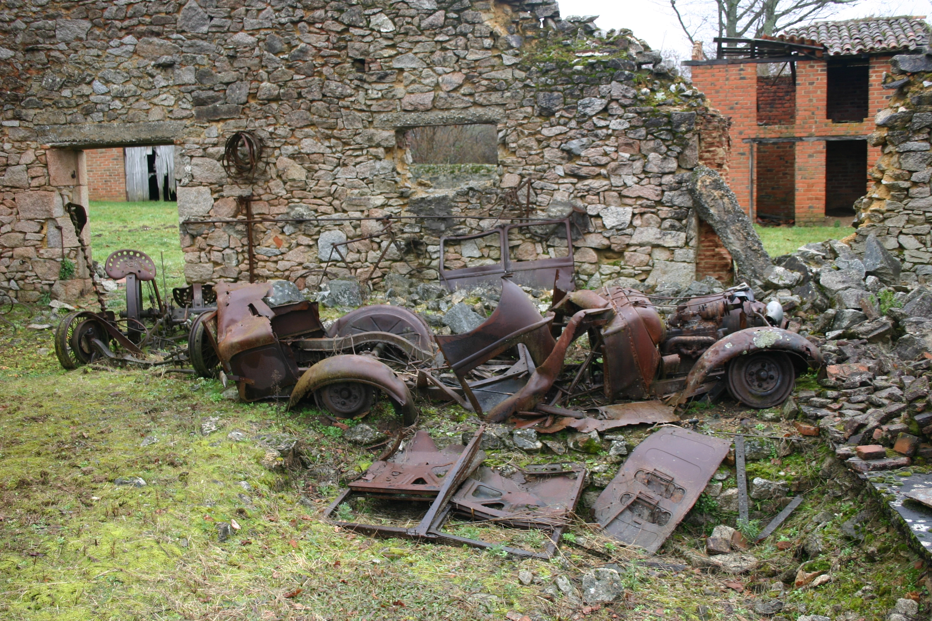 IMG_2301.webp