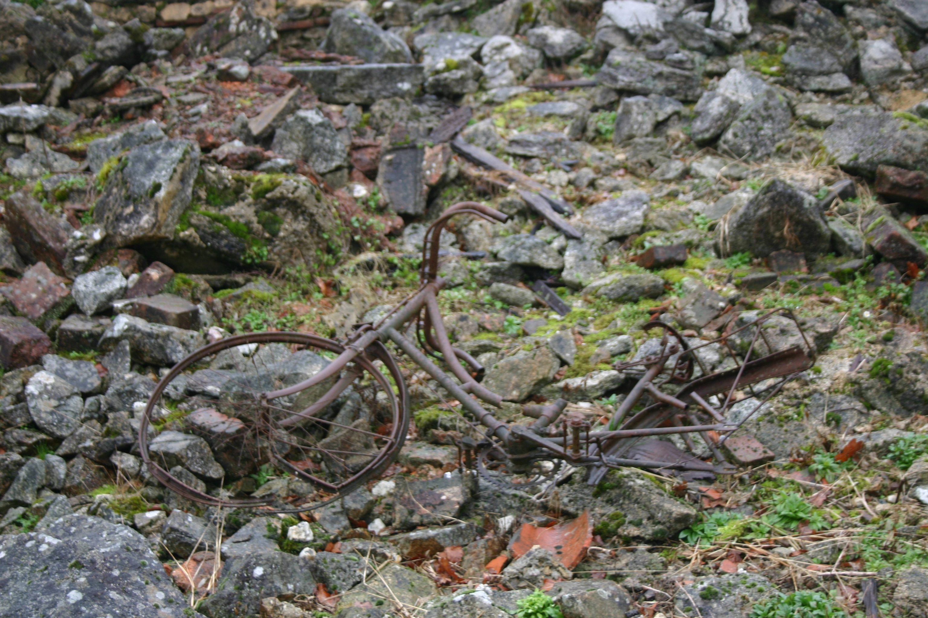 IMG_2314.webp