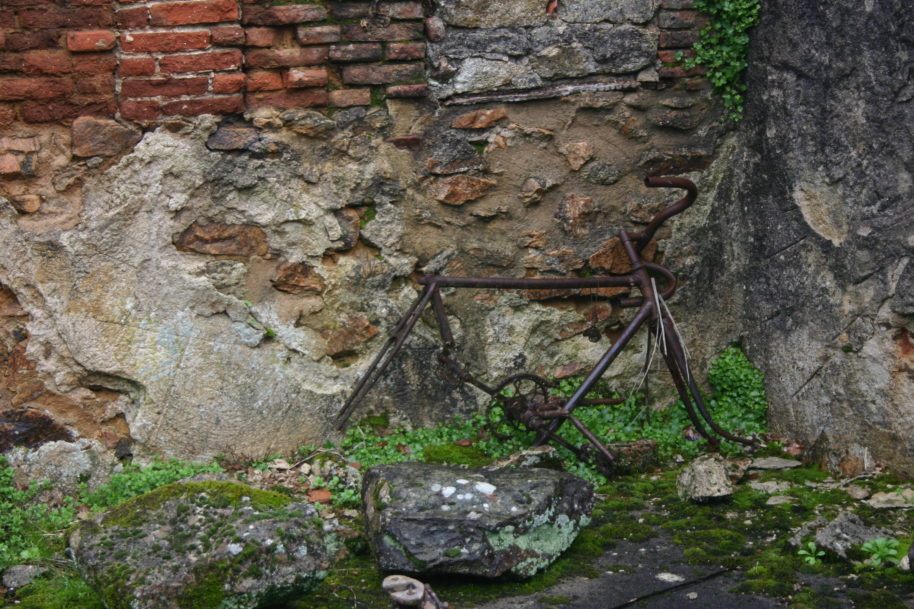 IMG_2352.webp
