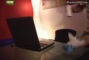 IMG_2388.gif