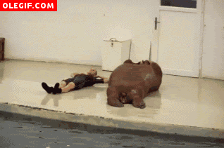 IMG_2595.gif