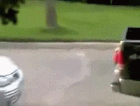 IMG_2639.gif