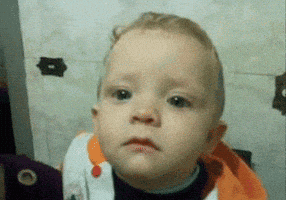 IMG_2892.gif
