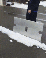 IMG_3121.gif