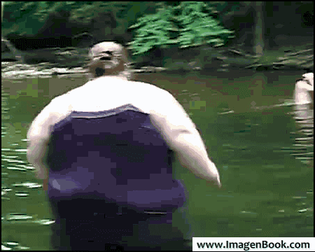 IMG_3267.gif