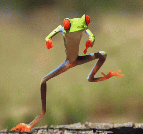 IMG_3587.gif