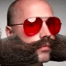 IMG_3597.gif