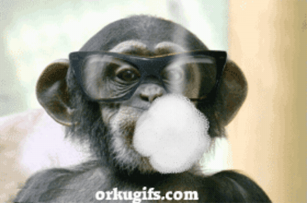IMG_3603.gif