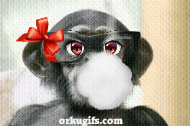 IMG_3632.gif