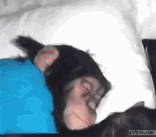 IMG_3680.gif