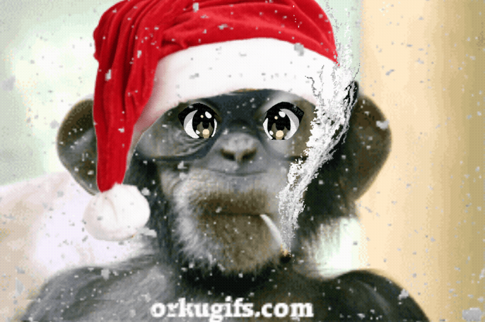 IMG_3832.gif