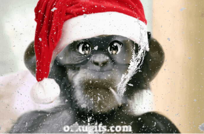 IMG_3833.gif