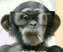 IMG_3849.gif