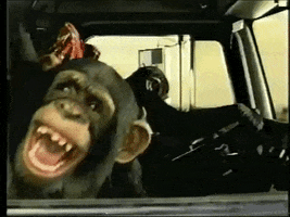 IMG_3857.gif