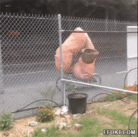 IMG_3891.gif