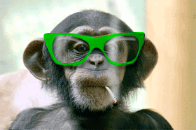 IMG_3928.gif