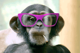 IMG_3929.gif