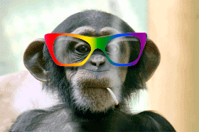 IMG_3931.gif
