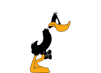 IMG_3943.gif