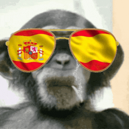 IMG_4023.gif