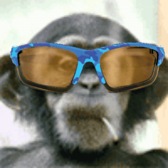 IMG_4031.gif