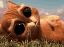 IMG_4389.gif