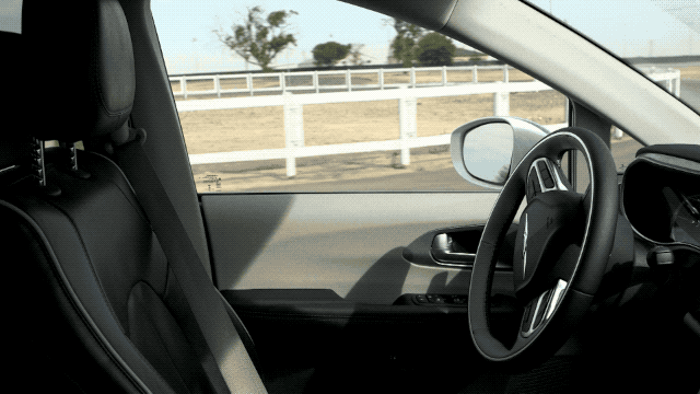 IMG_5638.gif