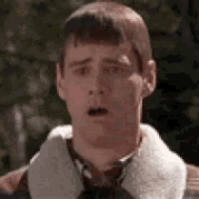 IMG_6141.gif