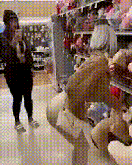 IMG_6285.gif