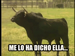 IMG_6494.gif