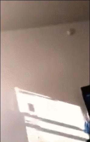 IMG_6779.gif