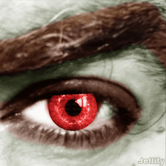 IMG_7319.gif