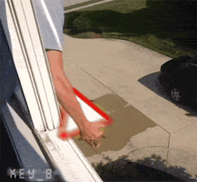 IMG_8542.gif