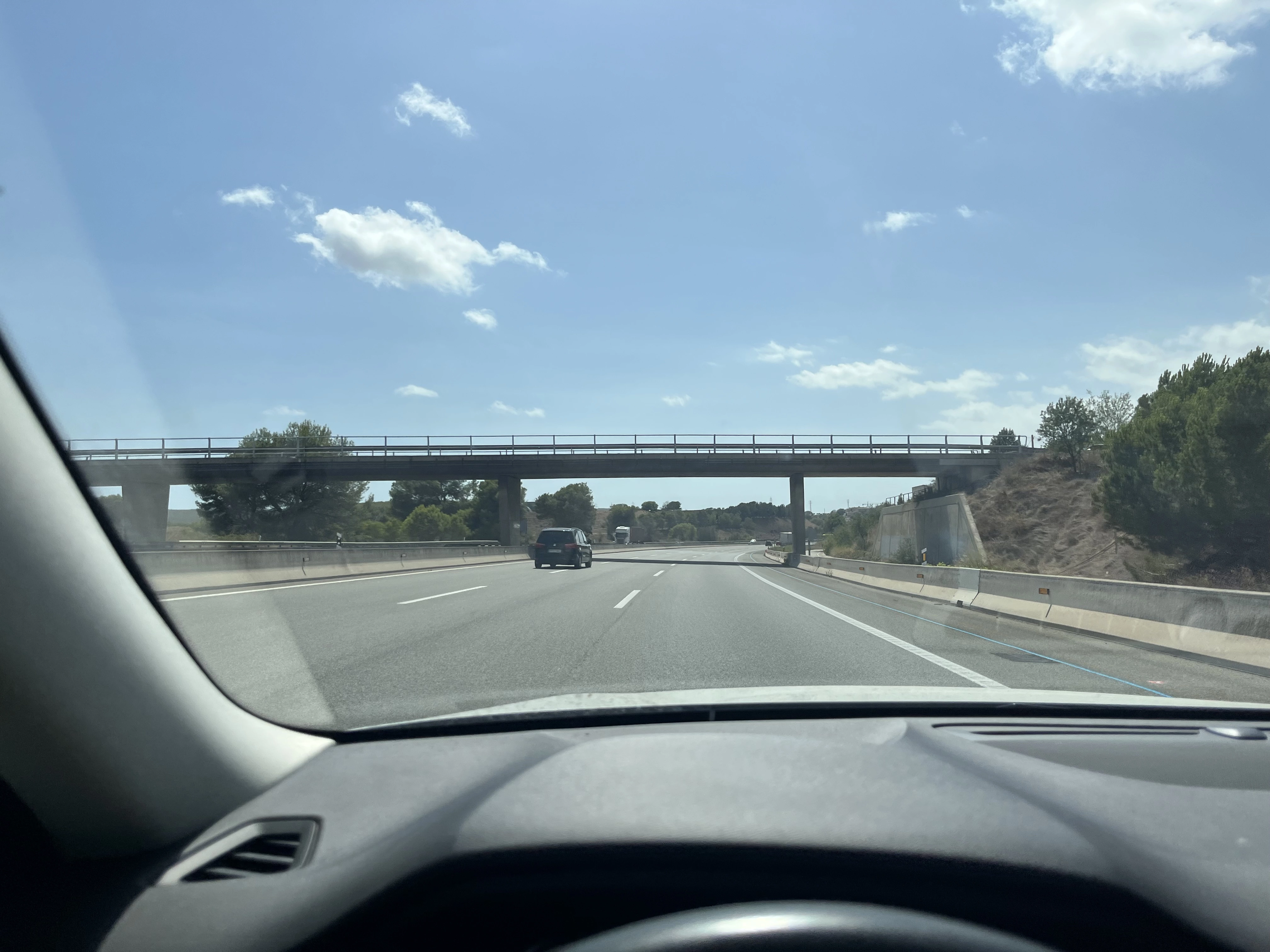 IMG_9650.jpeg