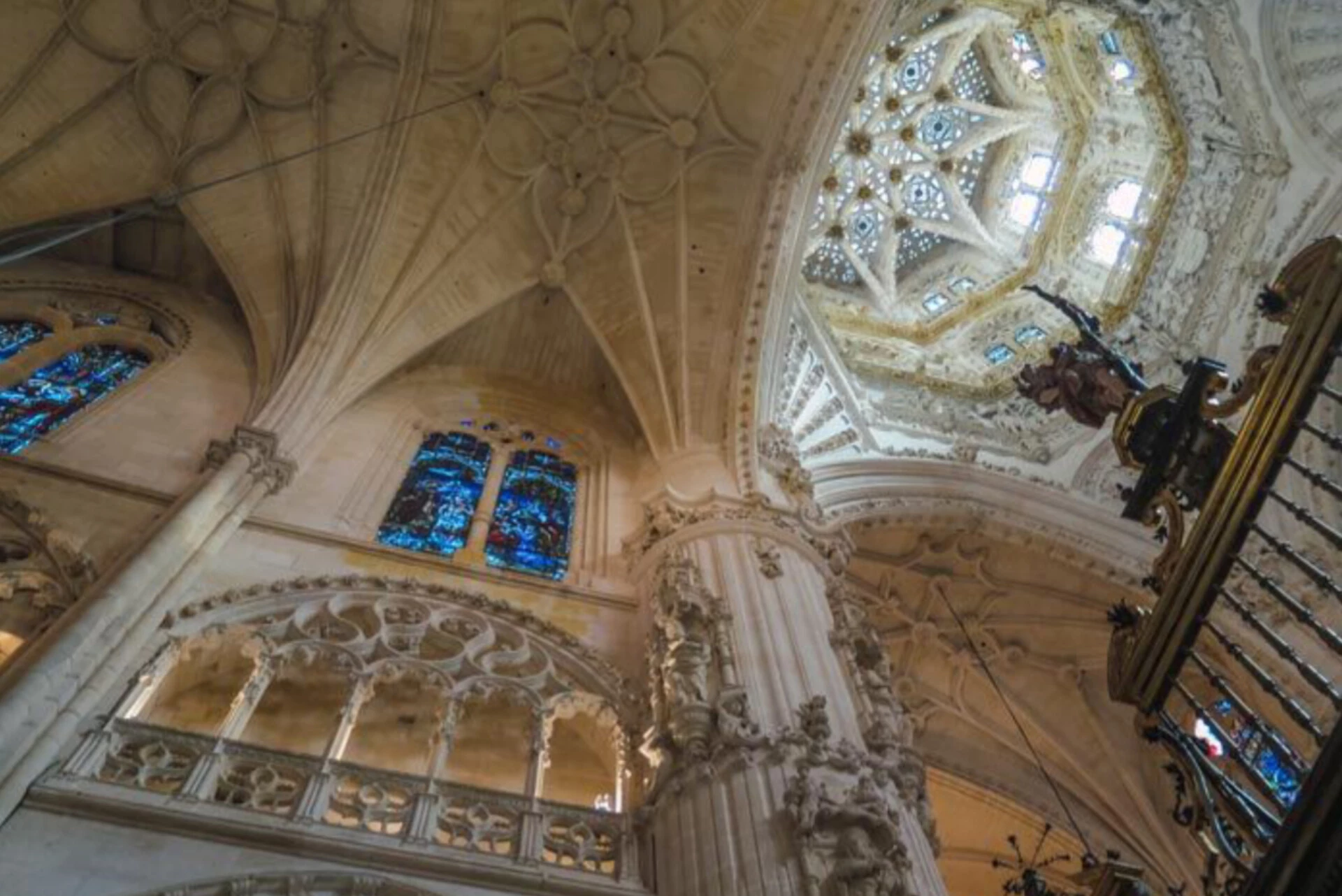 InShot_20231013_170335615.webp