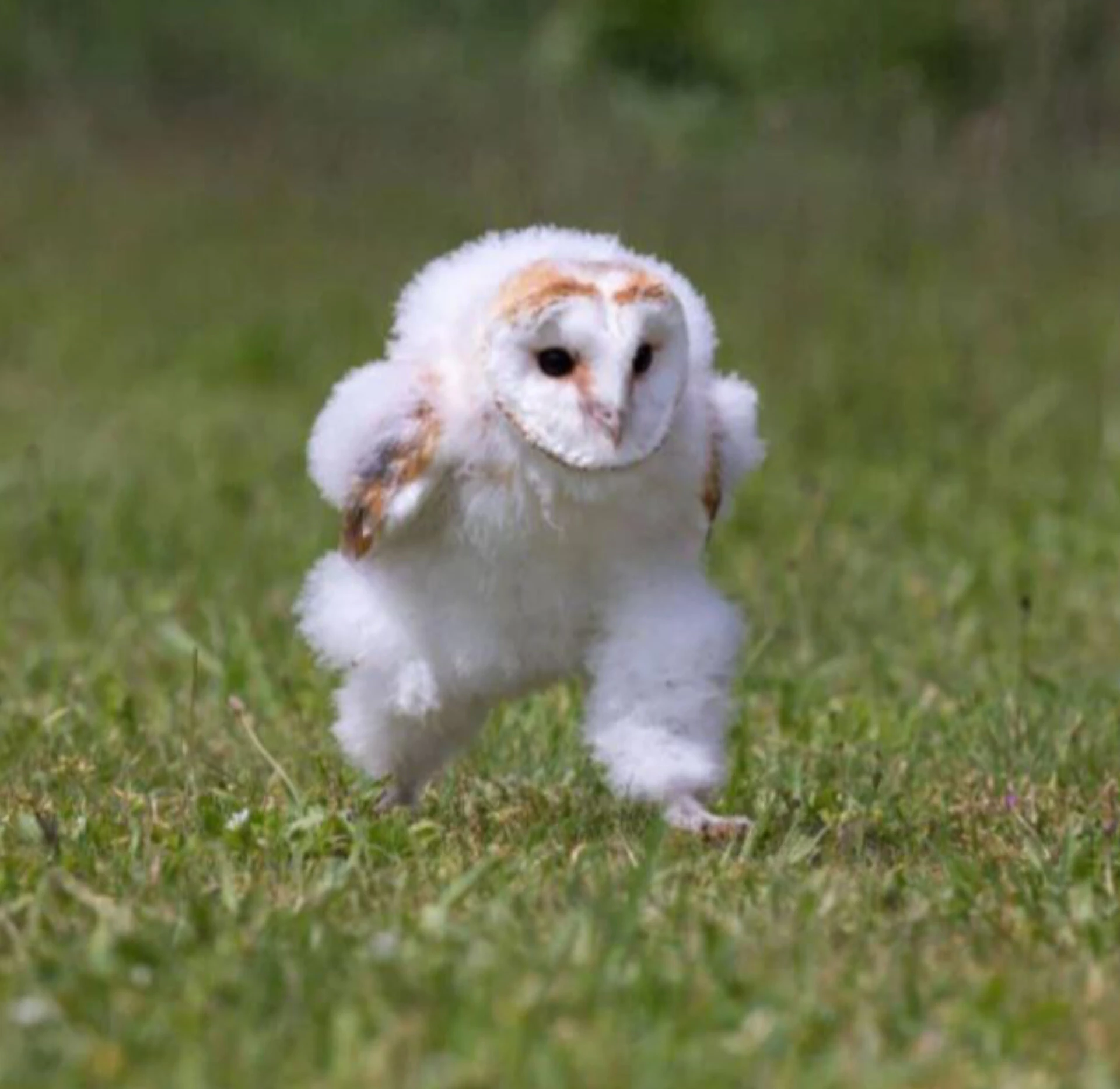 InShot_20240422_180402343.webp