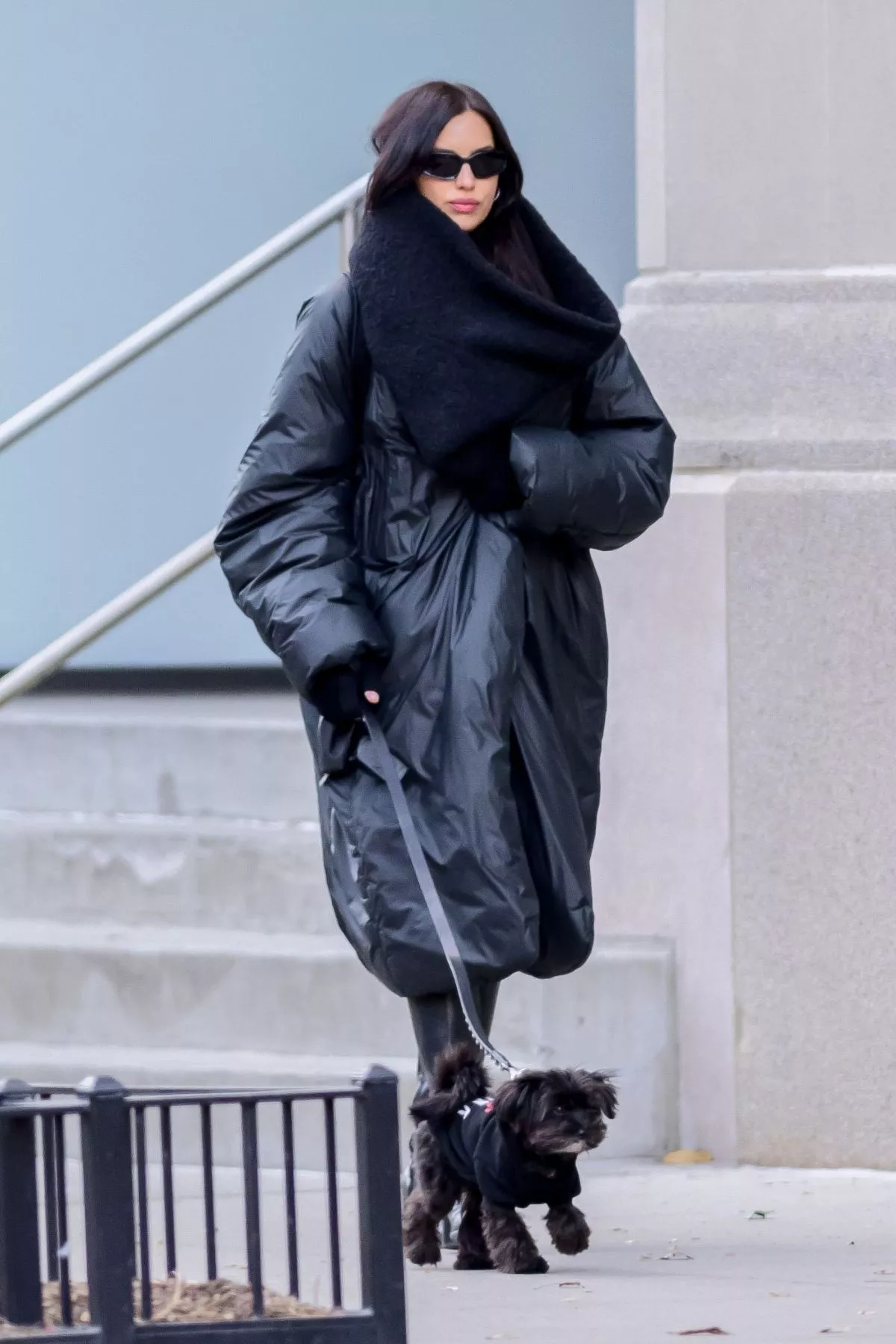 irina-shayk-out-with-her-dog-in-new-york-city-01-15-2025-5.webp