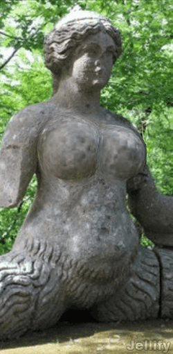 Jellify_1714365001637.gif