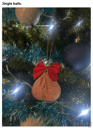 Jellify_1735384349103.gif