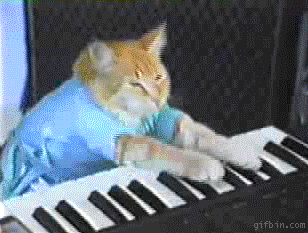 key12-2939661889.gif
