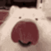 licka.gif
