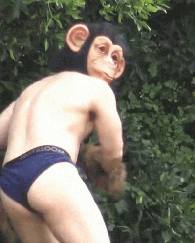 look-back-monkey-mask-1.gif