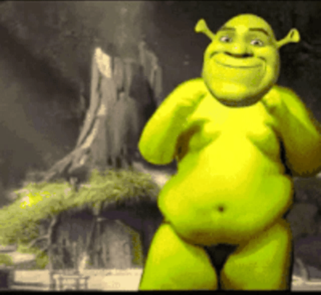 Media_240308_024737.gif