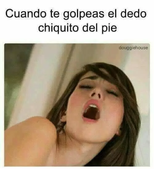 meme-marranazas18.webp