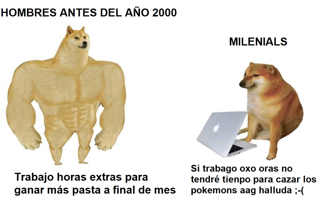 meme-perro-grande-pequeno-especial_48_0_1085_675.webp