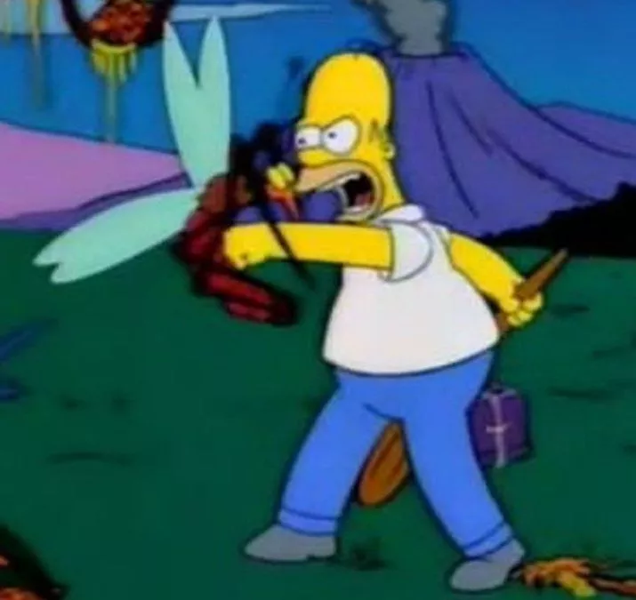 memes-mosquitosjpg~2.webp