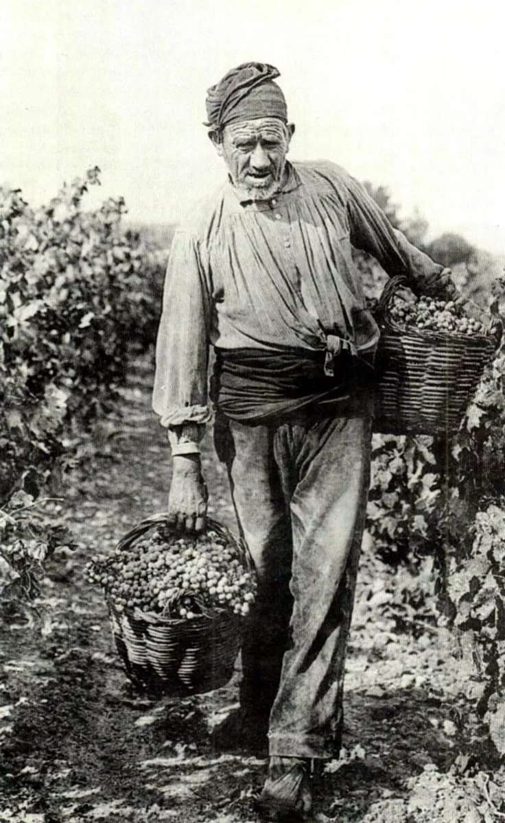Memoria gráfica de España_.webp