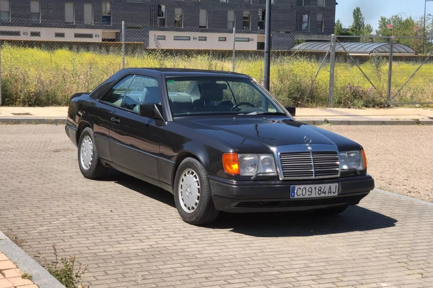 merc.webp
