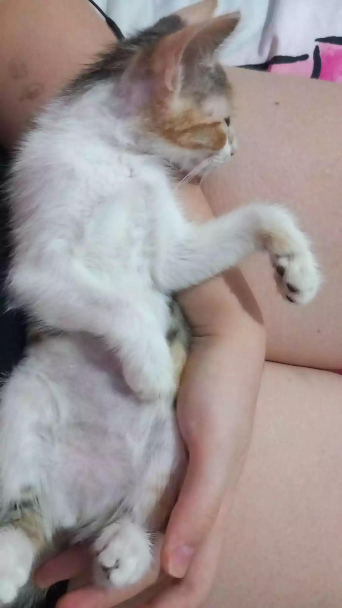 miniñapreciosa.jpg